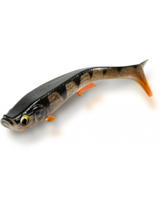 Quantum Tarp Shad 19 cm, Fb.: Real Perch 2