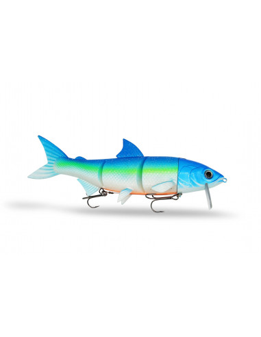 Fishing Ghost RenkyOne 25 cm / 180 g./ Fb.:...