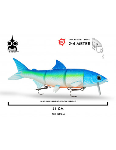 Fishing Ghost RenkyOne 25 cm / 180 g./ Fb.:...