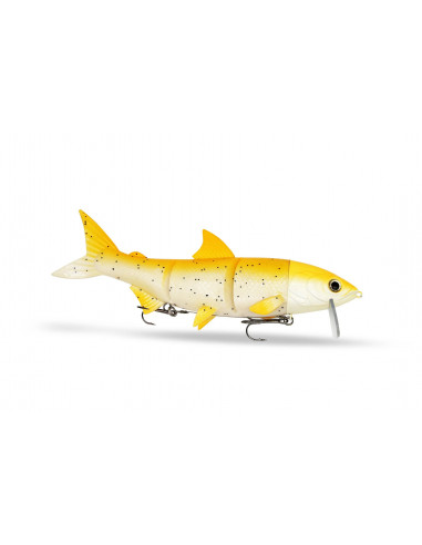 Fishing Ghost RenkyOne 25 cm / 180 g./ Fb.:...