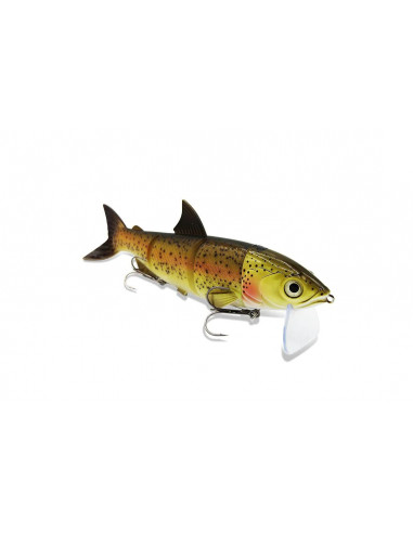 Fishing Ghost RenkyOne 25 cm / 180 g./ Fb.:...