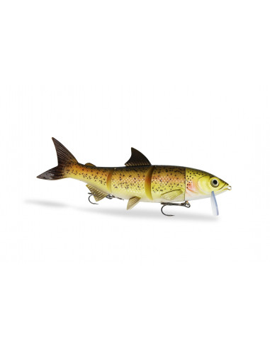 Fishing Ghost RenkyOne 25 cm / 180 g./ Fb.:...