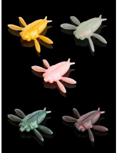 Soorex Cicada Käse Mix 3 Insekten-Imitat