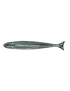 Fish Arrow Flash-J Huddle 3", Fb.: 03 Neon Green/Silver 2