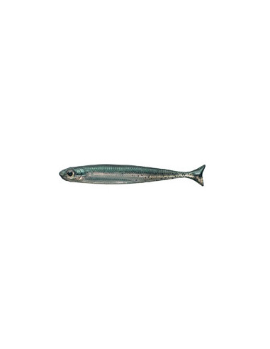 Fish Arrow Flash-J Huddle 3", Fb.: 03 Neon Green/Silver