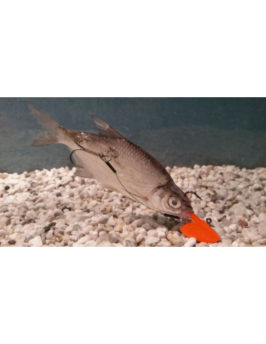 Spro Fire Erie Jig 1/0 - 14 g., Fb.: Fluo Orange