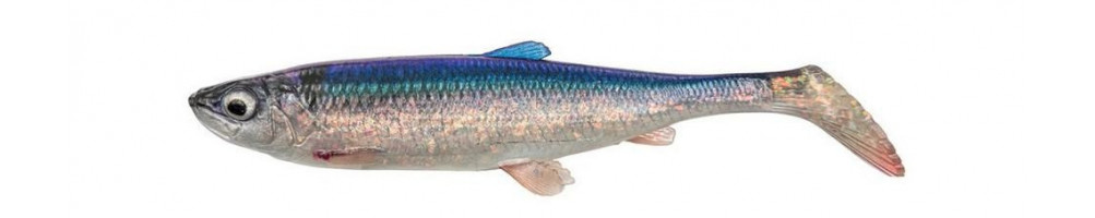 Herring Shad V2