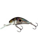 Salmo Hornet