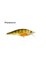 Yellow Perch