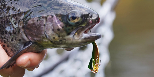 Trout Master ZOCKA BLADE
